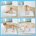 100 Pieces 30 x 36 Inch Pet Wee Pee Piddle Pad - Gallery View 6 of 9