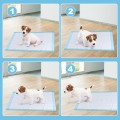200 Pieces 24 x 24 Inch Pet Wee Pee Piddle Pad - Gallery View 9 of 9