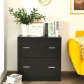 2-Drawer Lateral File Cabinet with Lock for Office and Home - Gallery View 1 of 12