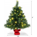 2 Feet Tabletop Fir Artifical Christmas Tree with LED Lights