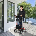 2-in-1 Multipurpose Rollator Walker with Large Seat - Gallery View 1 of 20