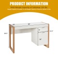 Modern Computer Desk Writing Workstation with Cabinet and Drawer