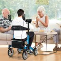 2-in-1 Multipurpose Rollator Walker with Large Seat - Gallery View 16 of 20