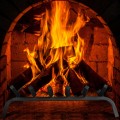 24 Inch Iron Fireplace Log Grate Firewood Burning Rack