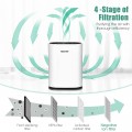 4-in-1 Composite Ionic Air Purifier with HEPA Filter - Gallery View 6 of 14