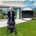 2-in-1 Multipurpose Rollator Walker with Large Seat - Gallery View 2 of 20