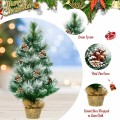 24 Inch Snow Flocked Artificial Christmas Tree - Gallery View 7 of 8