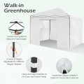 Greenhouse Outdoor Mini Walk-in Plant Portable Garden Greenhouse - Gallery View 10 of 12