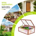 Outdoor Indoor Garden Portable Wooden Greenhouse