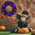 24 Inch Pre-lit Halloween Wreath with 35 Purple LED Lights - Gallery View 1 of 13