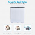 Twin Tub Portable Washing Machine with Timer Control and Drain Pump for Apartment - Gallery View 13 of 13