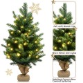 24 Inch Tabletop Fir Artificial Christmas Tree with LED Lights - Gallery View 10 of 10