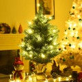 24 Inch Tabletop Fir Artificial Christmas Tree with LED Lights - Gallery View 1 of 10