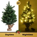 24 Inch Tabletop Fir Artificial Christmas Tree with LED Lights - Gallery View 5 of 10