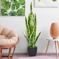 35.5 Inch Indoor-Outdoor Decoration Fake Artificial Snake Plant - Gallery View 1 of 9