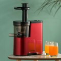 Slow Fruit Vegetable Masticating Juicer Cold Press Extractor