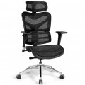 Ergonomic Mesh Adjustable High Back Office Chair with Lumbar Support - Gallery View 3 of 12